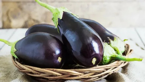 بادمجان سیاه خوش پز و بدون دانه زیاد